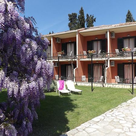 Dassia Beach Pension Exterior photo