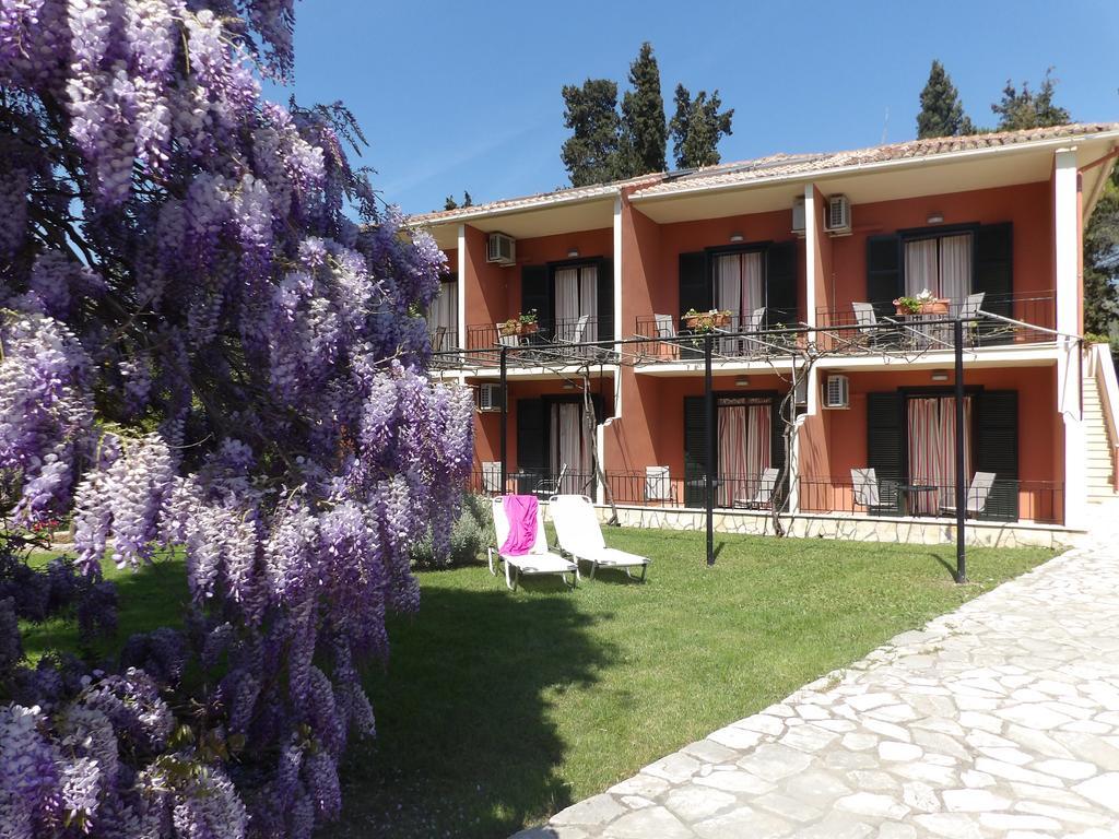 Dassia Beach Pension Exterior photo